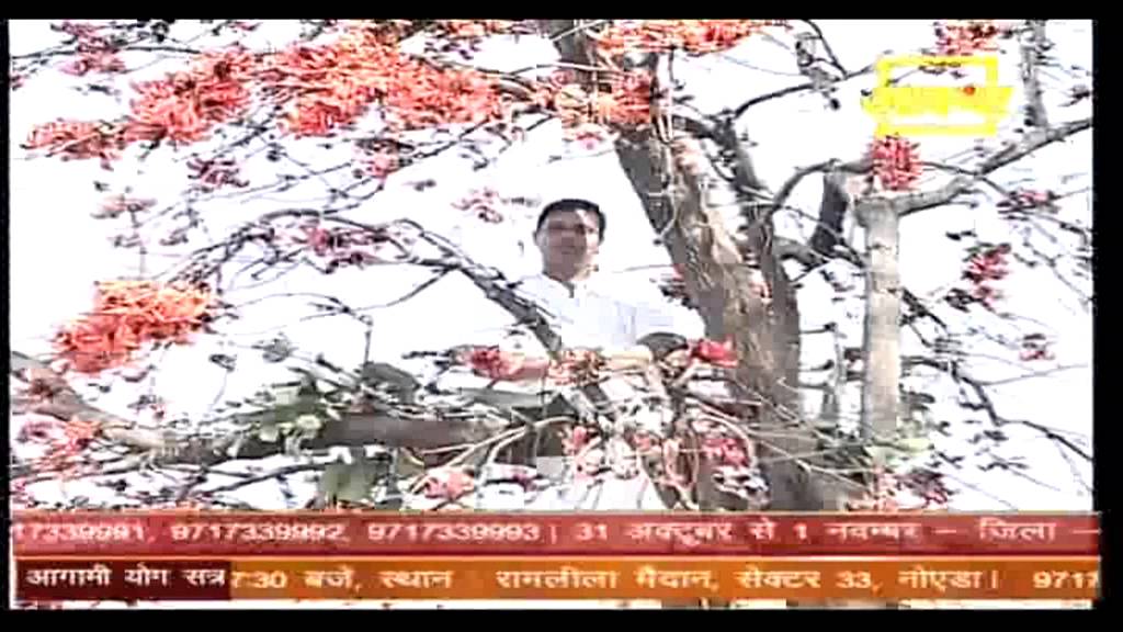 Medical use of पलास  or Flame of the Forest by Acharya Balkrishna