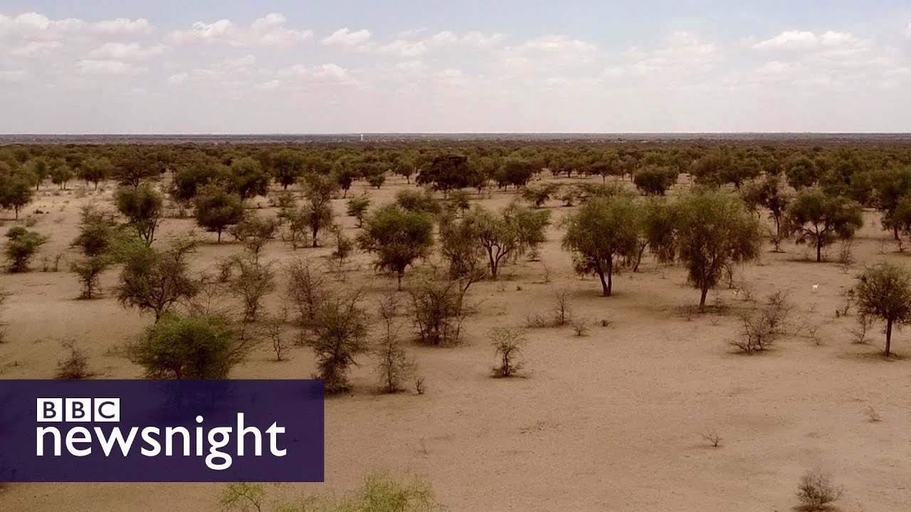 The Great Green Wall of Africa: Will it help fight climate change? BBC Newsnight