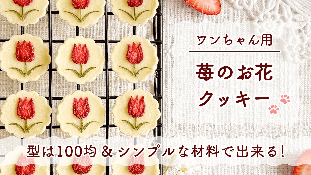 【小麦粉・油・卵・砂糖 不使用❗️】材料5つ！手作り犬用クッキー🌷