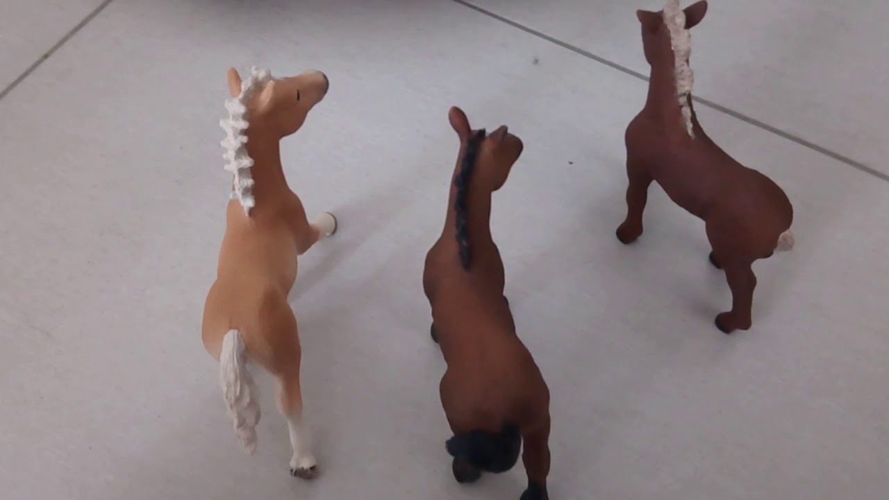 Schleich Fohlen alleine zu Hause 😂💞