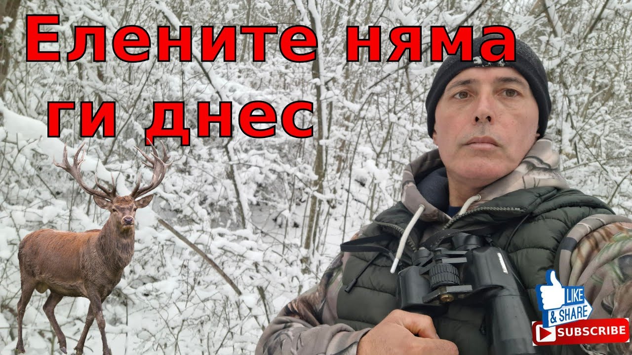 Елените няма ги днес