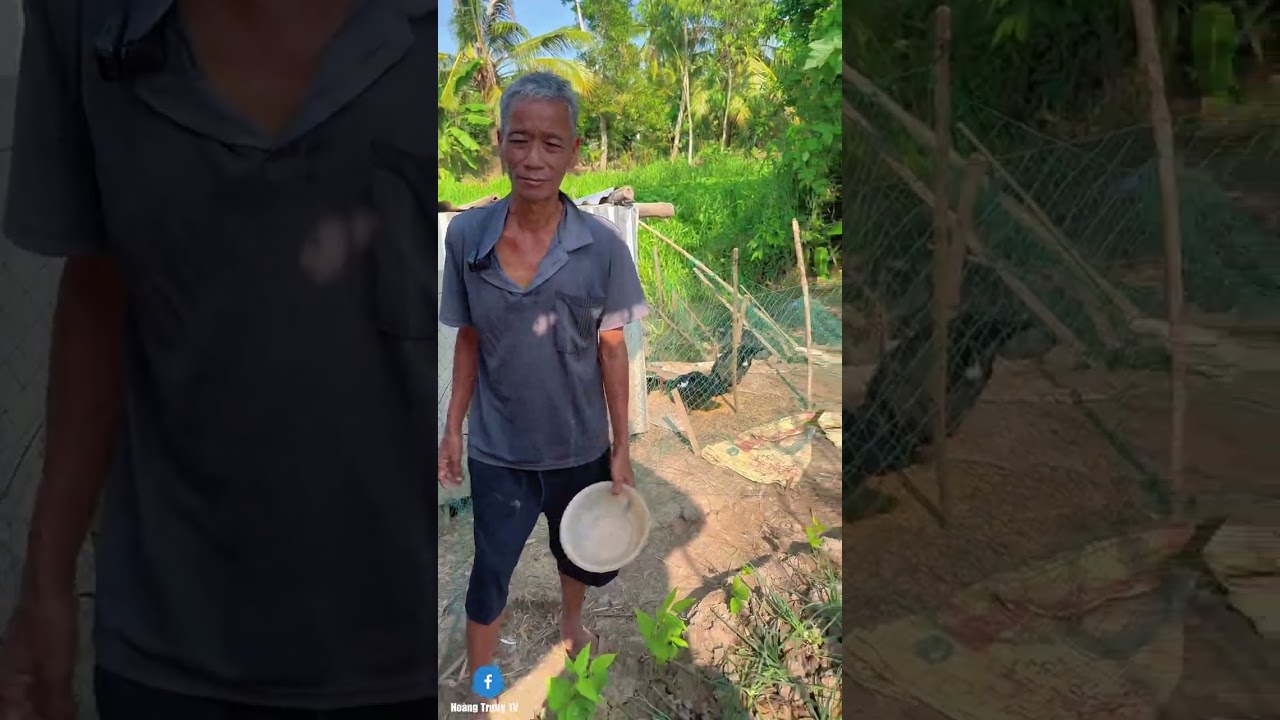 Vắng vợ chồng Xuân Thảo, căn nhà trở nên bừa bộn, cha già lại nát rượu.#xuânthảo 