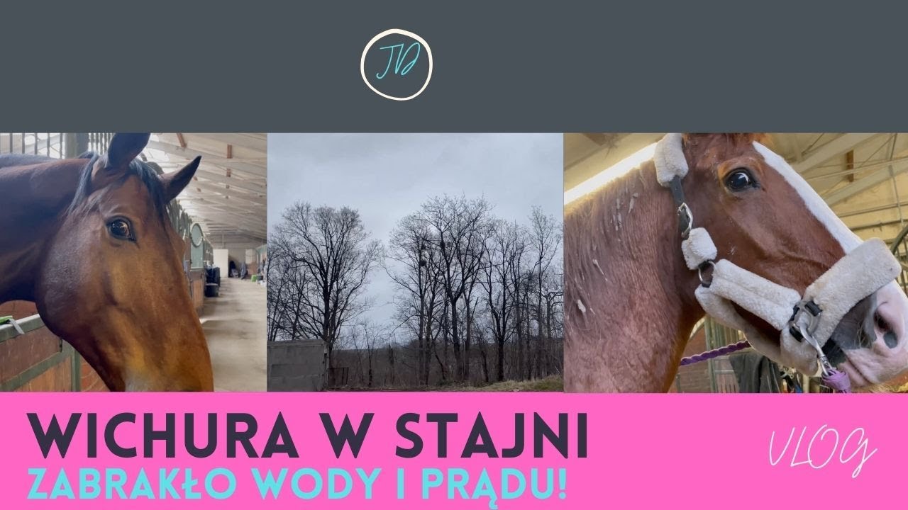 ARMAGEDON POGODOWY W STAJNI || VLOG