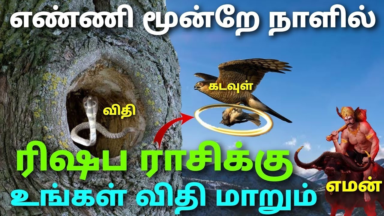 ரிஷப ராசி வார பலன் தமிழ் weekly rasi palan in tamil rishabam this week rishaba rasi horoscope tamil