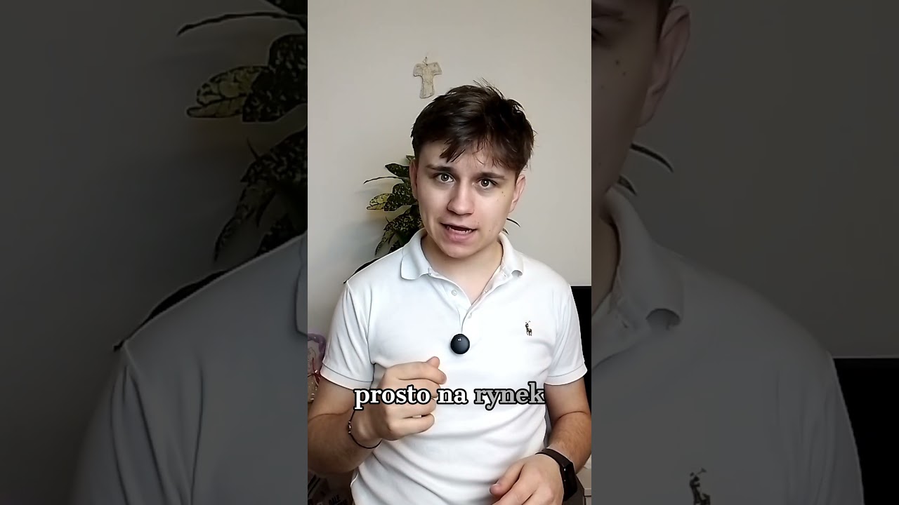 Dlaczego Polska pr&oacute;buje pozbyć się Fakro?