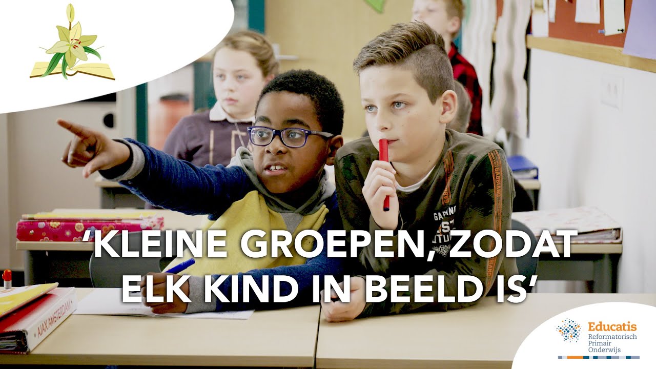De Lelie Driebruggen