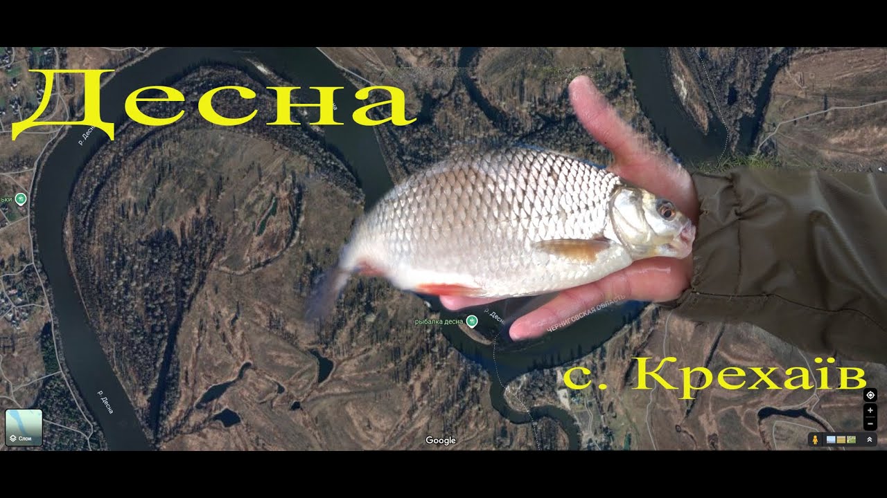 В гонитві за ДЕСНЯНСЬКОЮ ПЛІТКОЮ! Чернігівська область с. Крехаїв