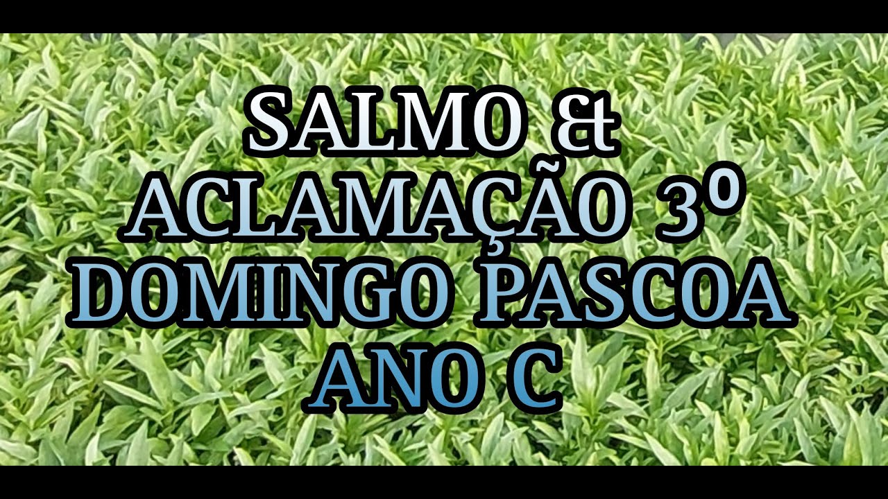 SALMO NO ACLAMAÇÃO 3⁰ DOMINGO PASCOA ANO C