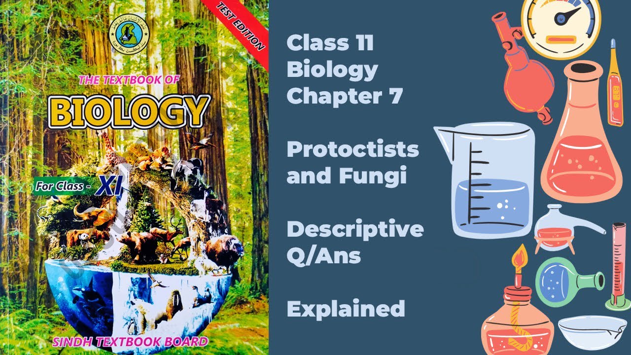 Class 11 Biology New Book | Chapter 7 Descriptive Question Answers Explained