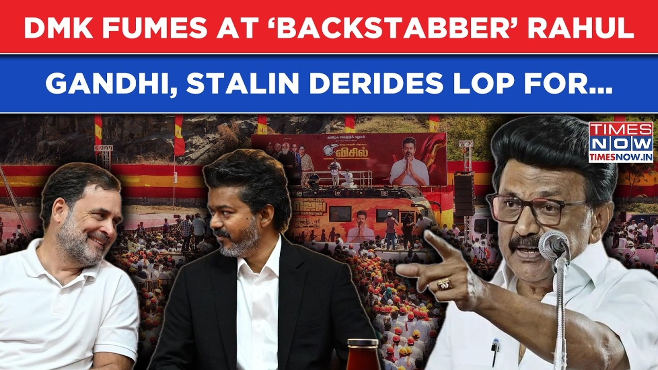 DMK Derides &lsquo;Backstabber&rsquo; Rahul Gandhi, Stalin Goes Ballistic Against 'Immature' Congress Leader For