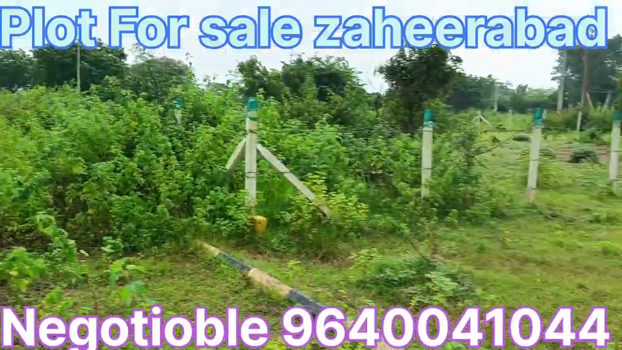 #farmland #for #sale #hyderabad #telangana #farm #garden #agriculture #investment #chance 9640041044