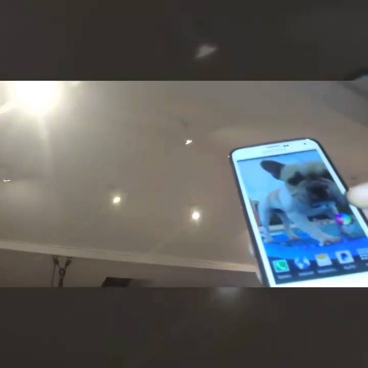 Milight żar&oacute;wki led GU10 RGBW