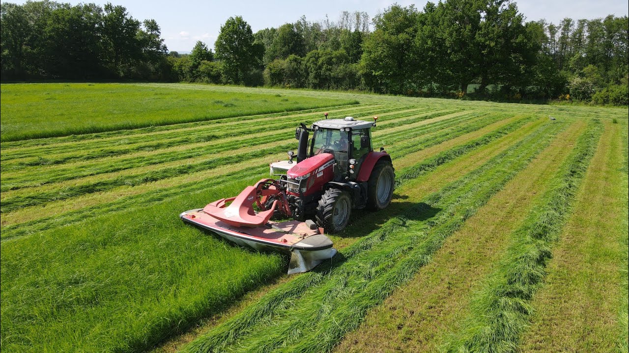 FAUCHE AVEC UN ENSEMBLE FULL RED// Massey 6713, Kuhn GMD 3525 F et Kuhn GMD 3110