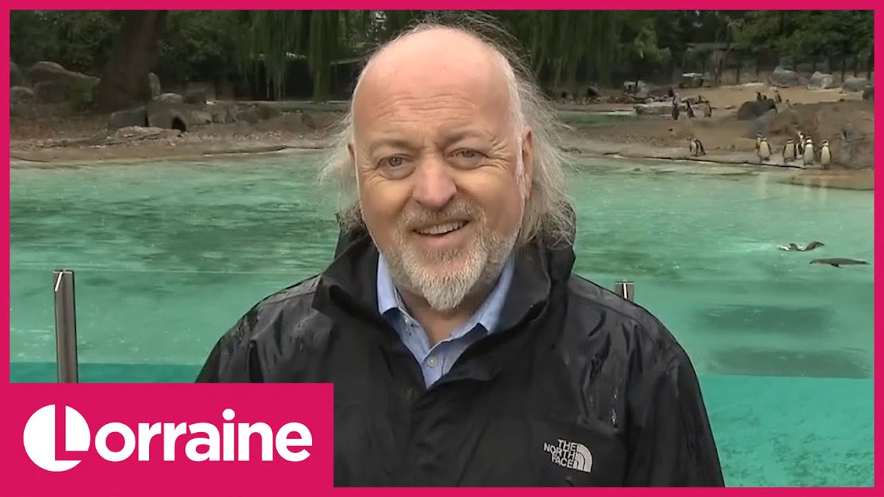 Bill Bailey on Supporting Zoos, Working With Idris Elba & How to Find Happiness | Lorraine