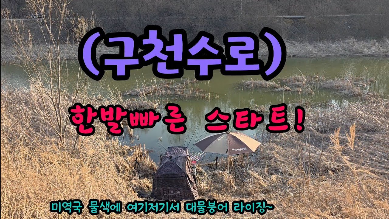 경북의성 구천수로에 물색보고 미쳐버립니다 #붕어낚시 