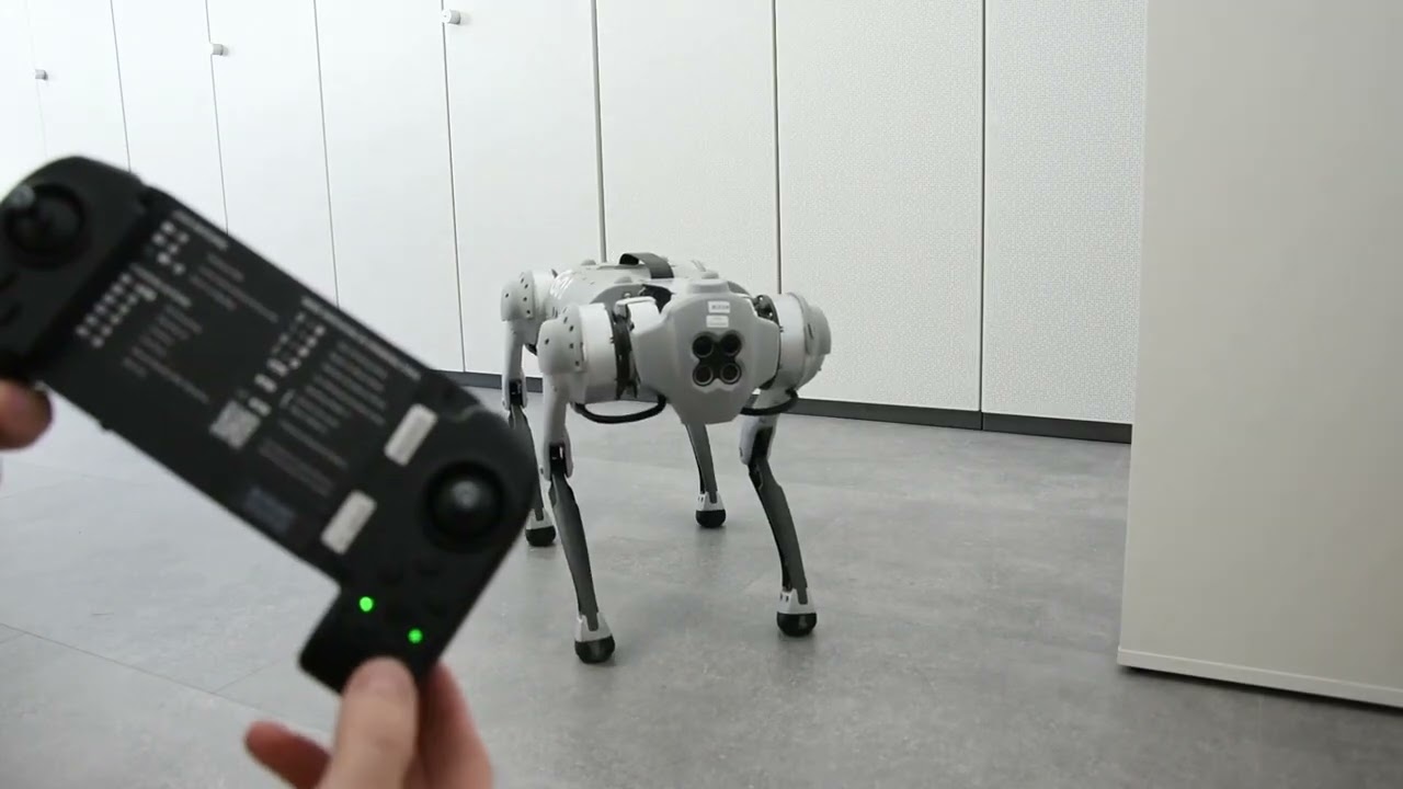 Unitree Go1   Unboxing und Inbetriebnahme   Quadruped   Vierbeiner   Roboterhund