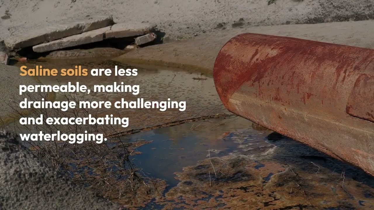 Waterlogging and Salanity