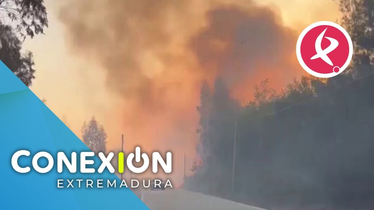 Bomberos extremeños ayudan a sofocar los incendios activos en Portugal | Conexión Extremadura