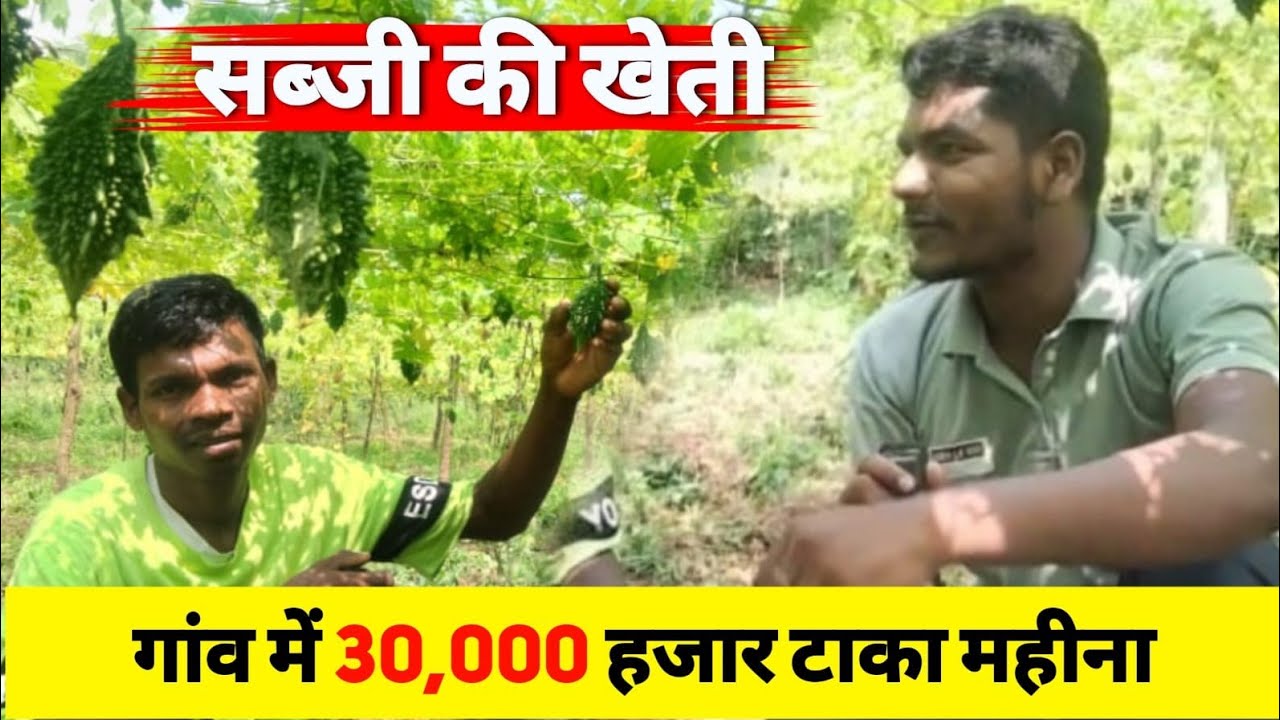 सब्जी की खेती से 30 हजार रूपया महीना कमाई 