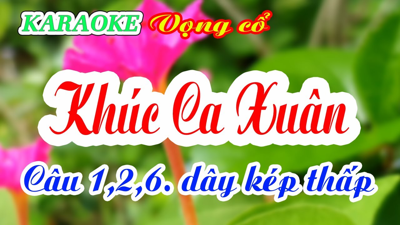 KARAOKE   KHÚC CA XUÂN ( VC 1,2,6  Dây kép thấp )