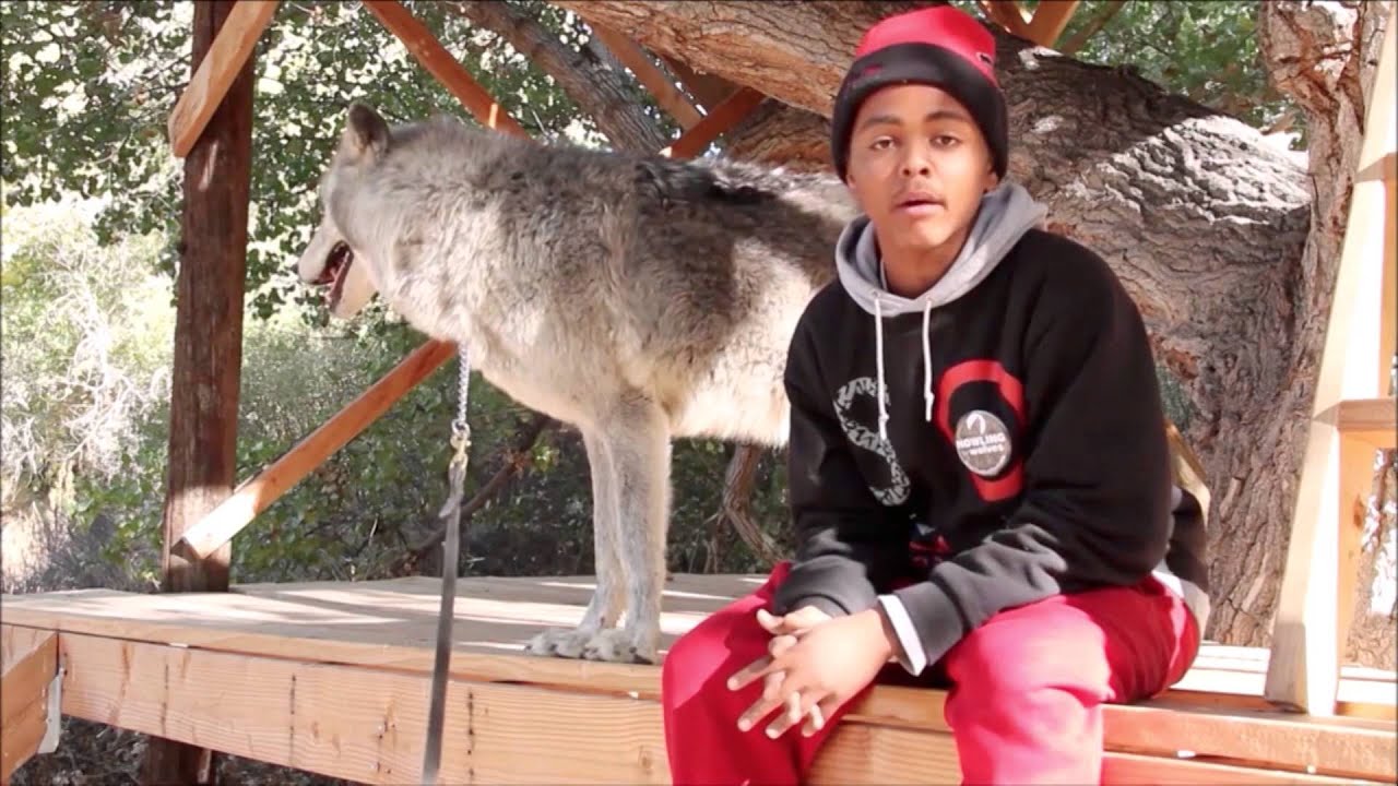 When Wolves and Human Meet...Again | Teo Alfero | TEDxManhattanBeach