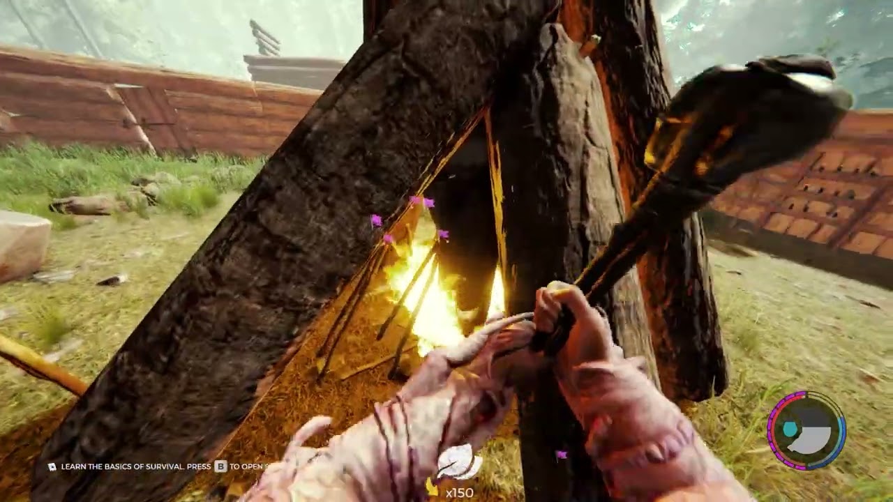 The Forest Highlights