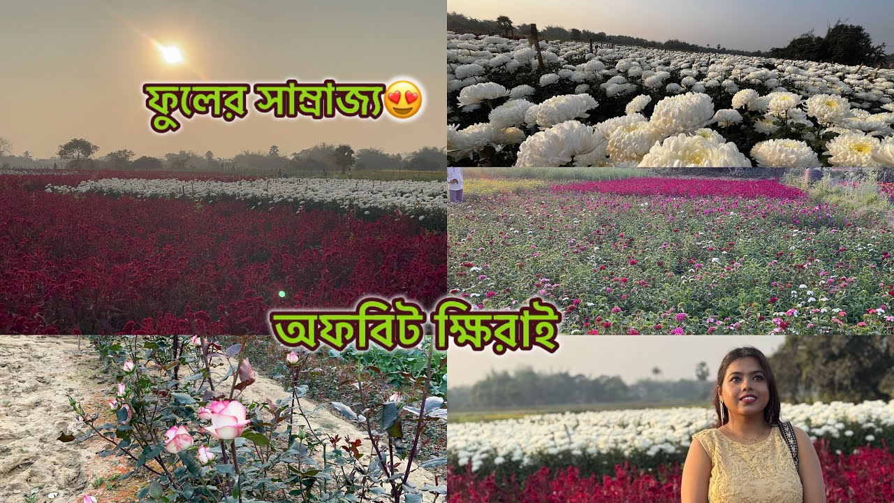 ক্ষিরাই এর চেয়েও সুন্দর এই ফুলের সাম্রাজ্য,আজ তোমাদের ঘুরে দেখাব হরেক রকম ফুলের বাগান। #flowers 