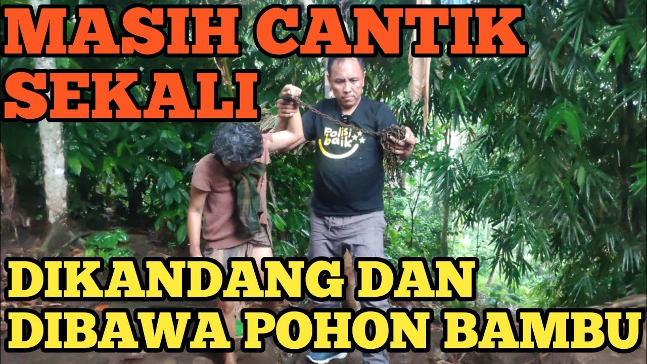 GADIS CANTIK DI IK@T RANTAI BESI PANJANG DI BELAKANG RUMAH SENDIRIAN OLEH IBU NYA SENDIRI