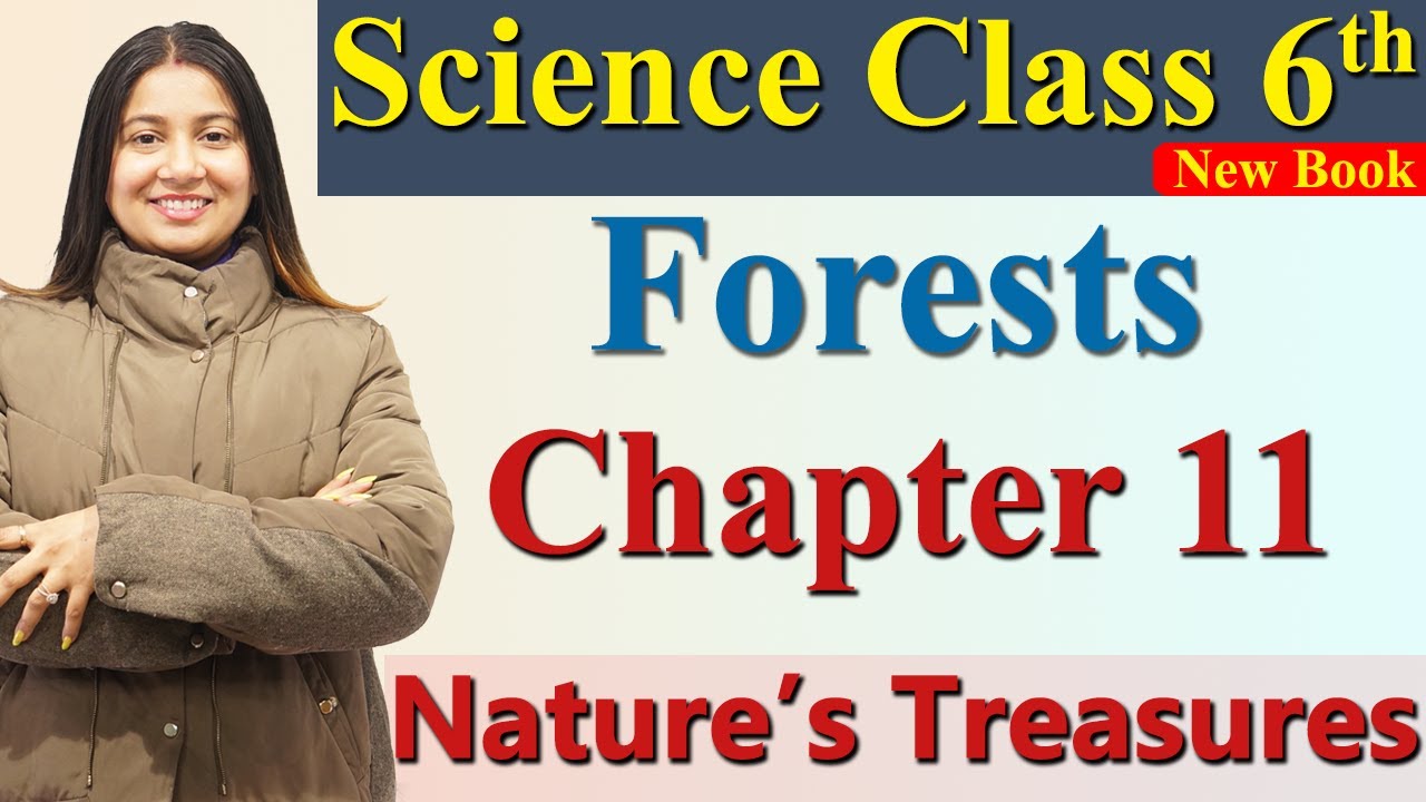 Forests, Chapter 11 Nature’s Treasures Science Curiosity Class 6