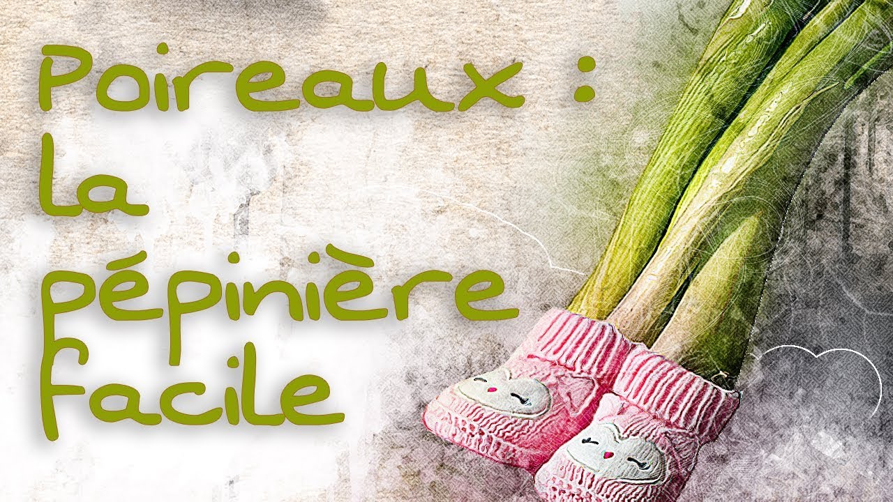 Poireaux : la pépinière facile