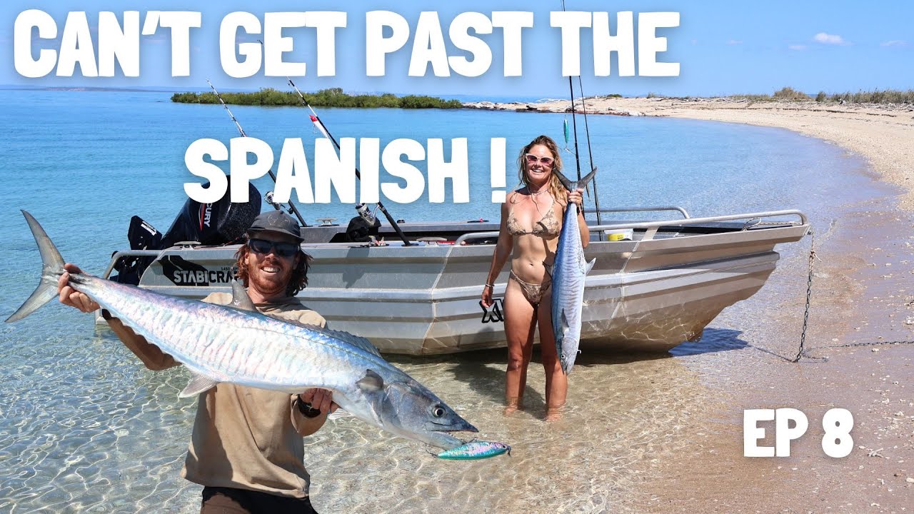 PLAGUED BY SPANISH MACKEREL - Honeymoon Bay Campground Has It All!