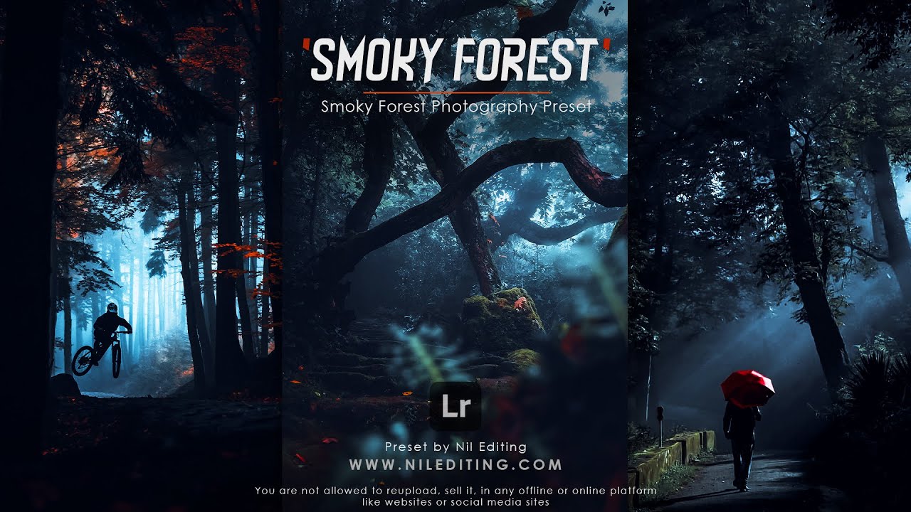 How to Edit Professional Smoky Forest Photography | Lightroom Dark Presets DNG & XMP Free Download