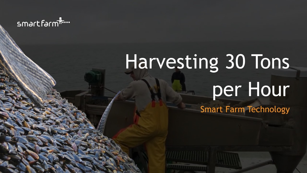 30 Tons per Hour with Just Two Operators | Smart Farm Technology