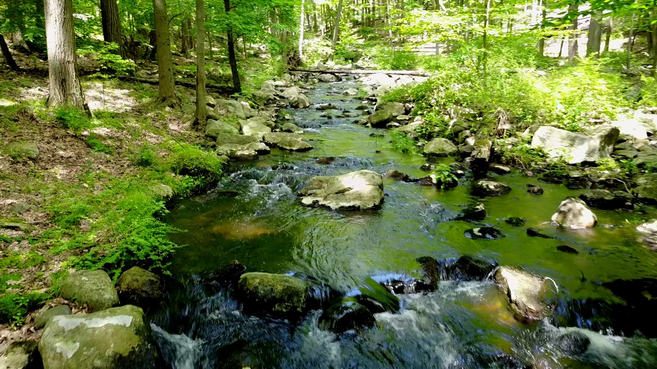 Tiorati Brook, Harriman State Park NY in 4K.