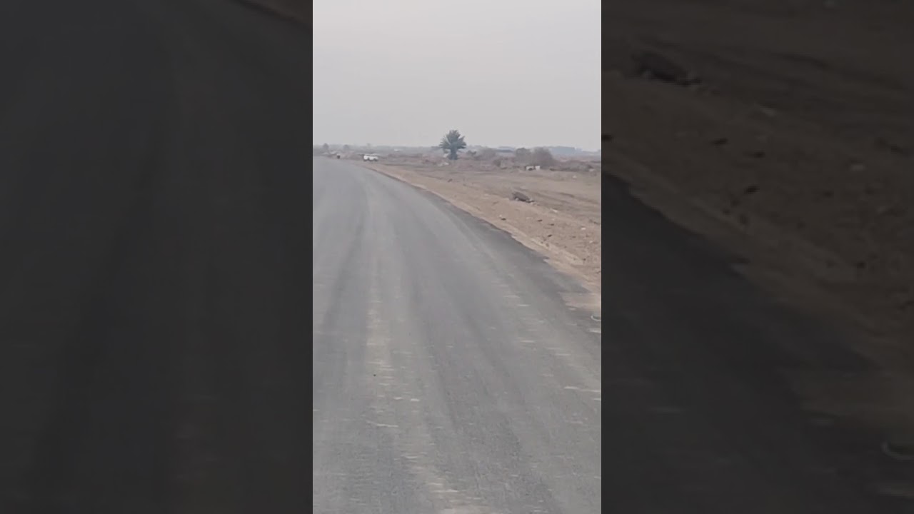 ٣ آذار، ٢٠٢٦