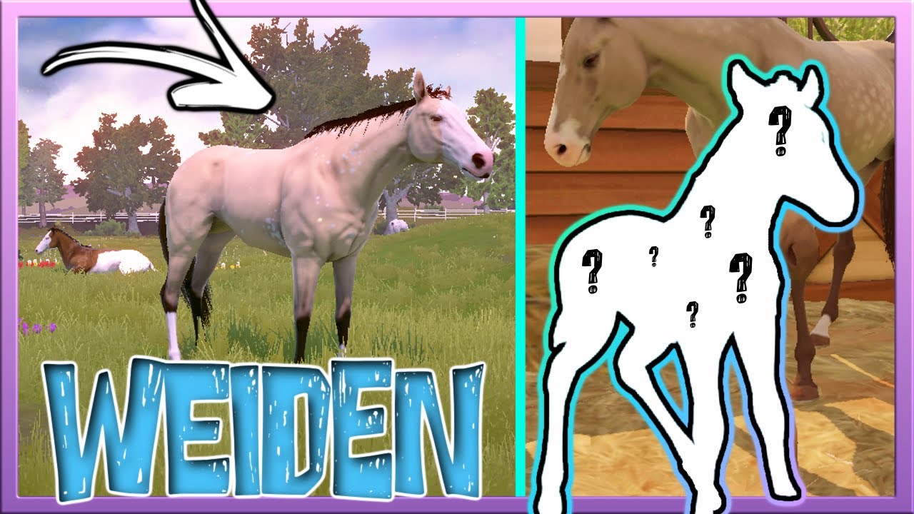 Wir haben WEIDEN 🌿 & ein neues FOHLEN 🐴 Rival Stars Horse Racing