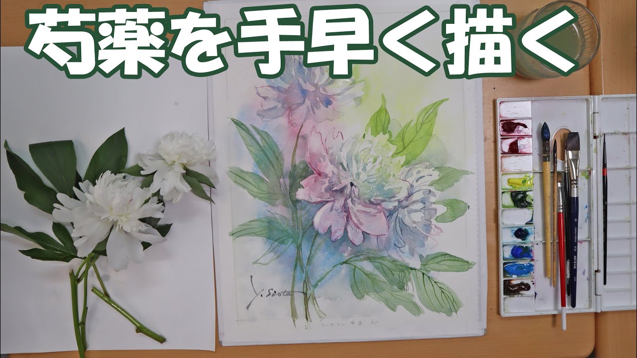 【透明水彩画】芍薬を手早く描く【English sub】