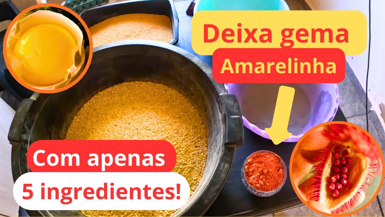 RAÇÃO DE POSTURA TOP QUE DEIXA GEMA BEM AMARELINHA