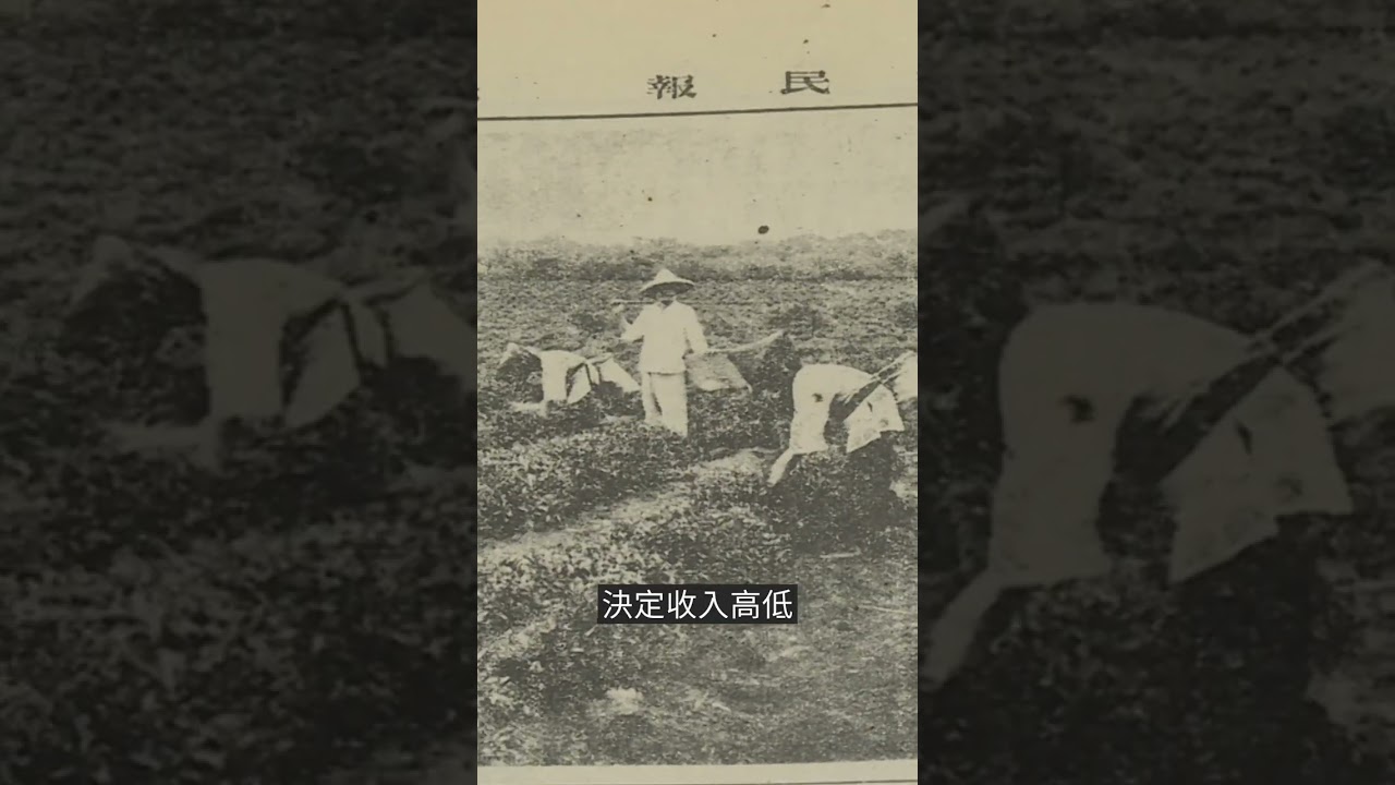 特派員精華｜職場女性先鋒｜公視 #獨立特派員 #Shorts