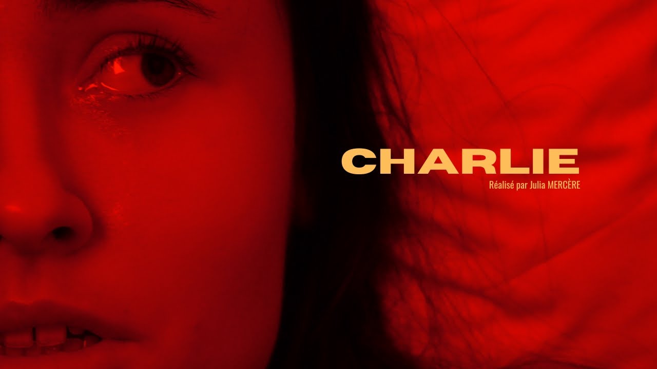 CHARLIE - Julia MERCÈRE