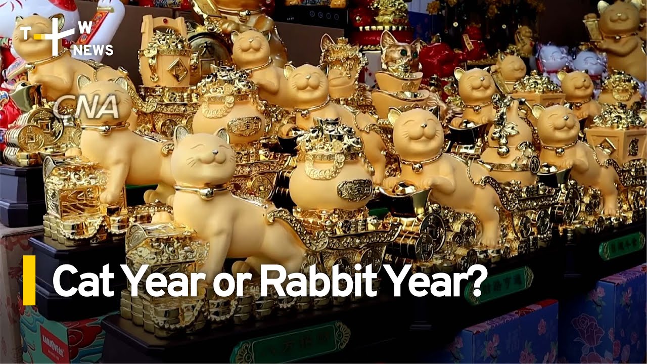 Cat Year vs Rabbit Year: Vietnamese Celebrate Different Zodiac Animal | TaiwanPlus News