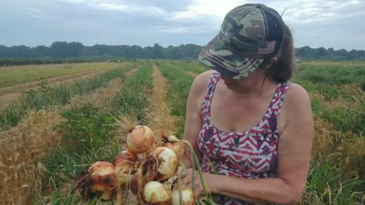 They Grow UNDER Plastic!!!!! ~~ Onions