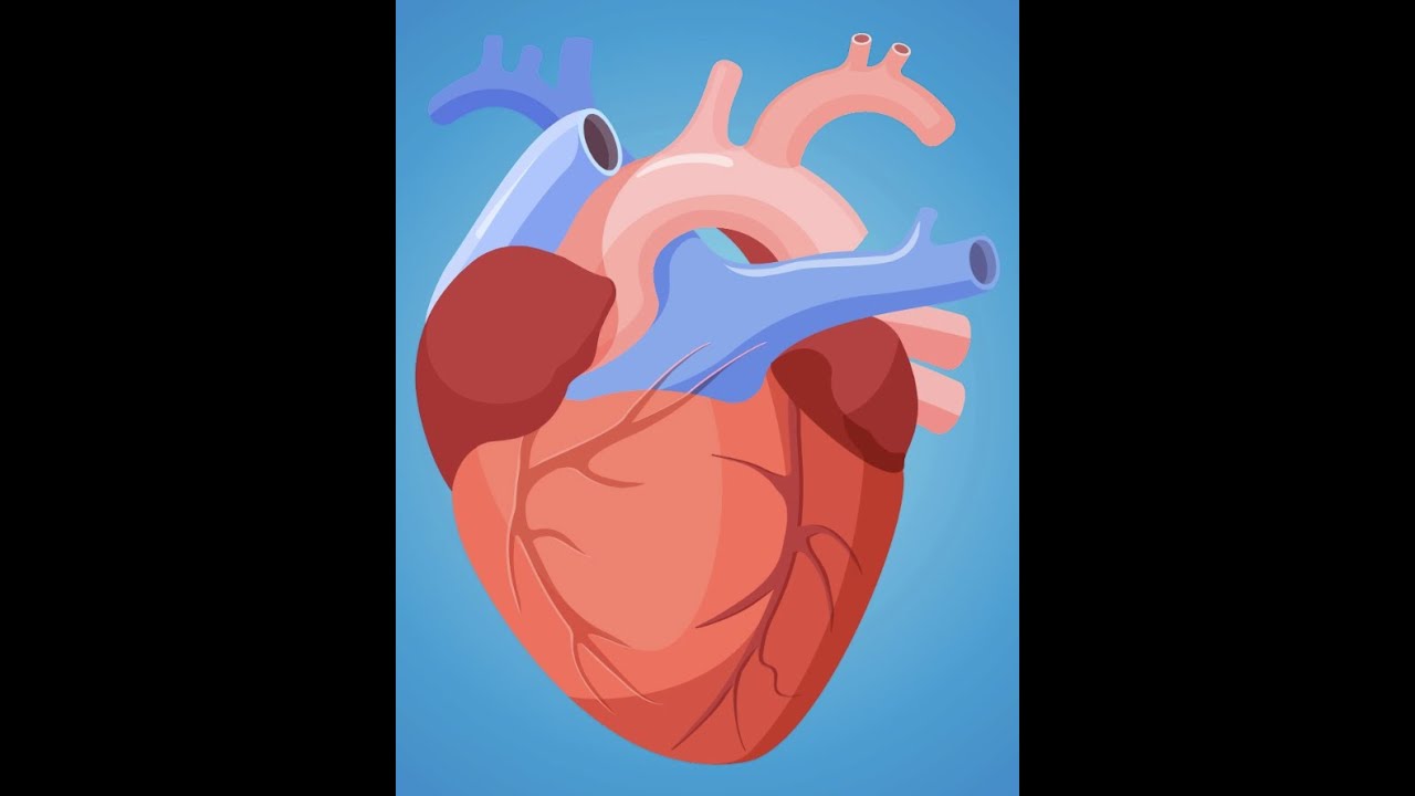 RUST x10 z Qumplem 🔥 gram w gry z kbnwk 🔥 essasito