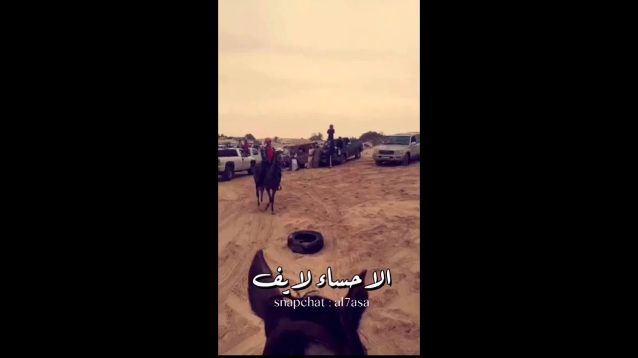 مدينة العيون بعيون اهلها - الاحساء لايف