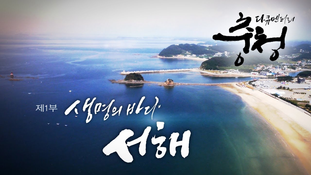 가로림만을 품은 생명의 바다 : 서해 | 대전MBC 다큐멘터리 다큐충청 1부