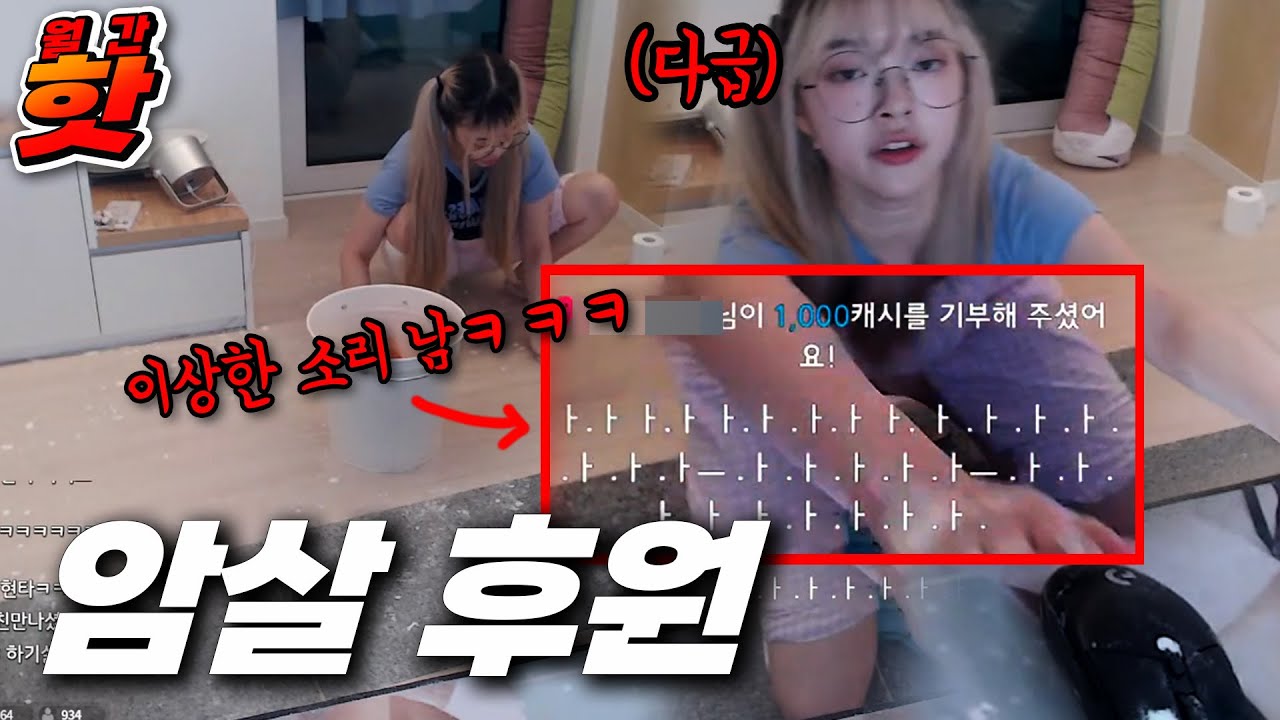 다시 돌아온 시청자 암살후원ㅣ월간 핫클립 모음.ZIP