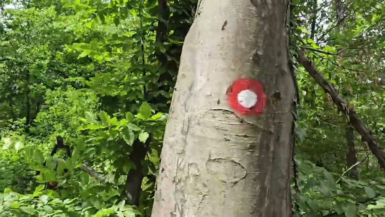Serbia , Parcul Național Djerdap , Dzevrin Kamen