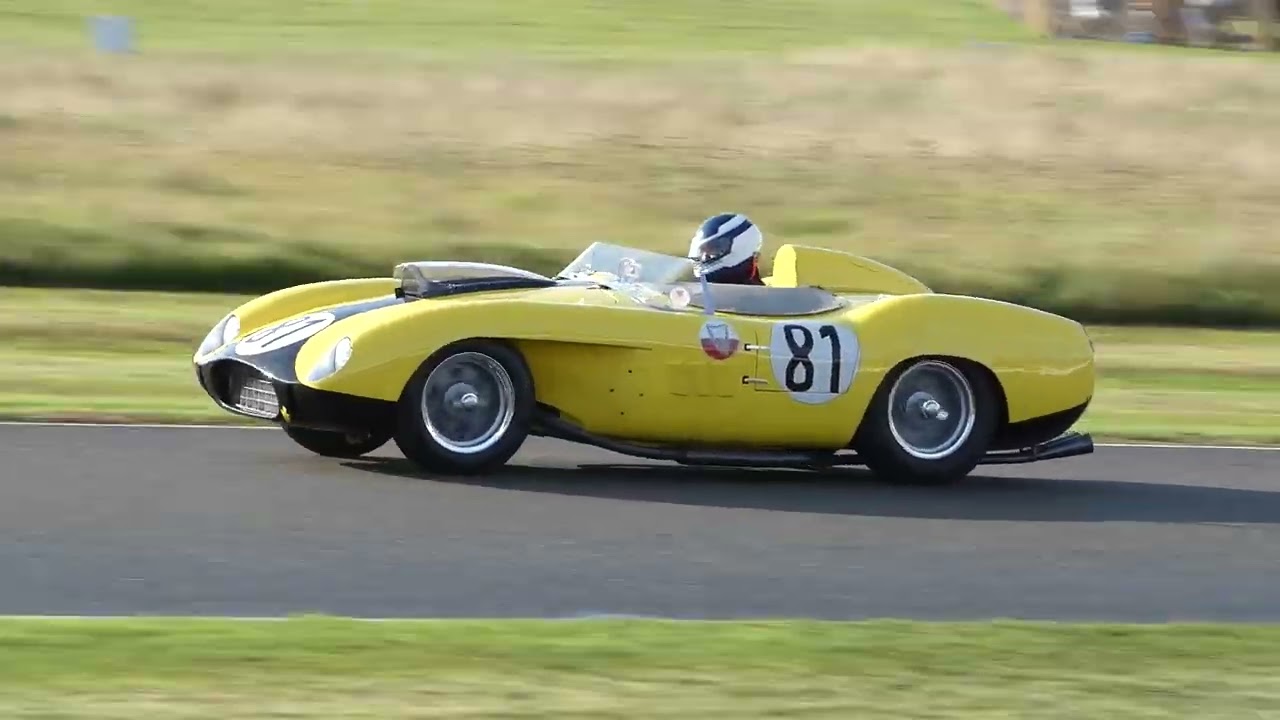 Sussex Trophy Race Part 2 (1955 - 60 World Championship Sports Cars) Goodwood