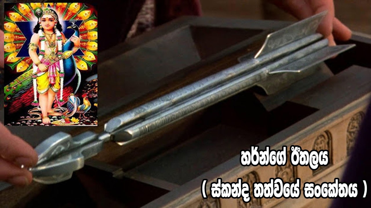 ලබල අවුරුදු පහෙන් බිලියන ගාණකගෙන් වෛරයට පාත්‍රවෙන මාර්ගයක් -  3