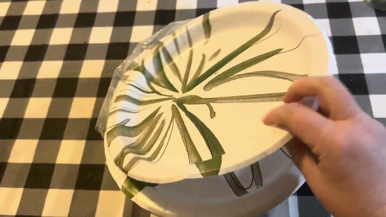 Review of Amazon Basics Paper Plates